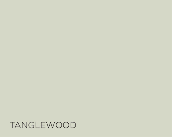 Tanglewood Weatherclad 10L